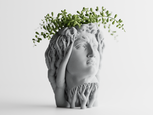 Organic David Planter Home Decoresion Eco-Friendly Pots